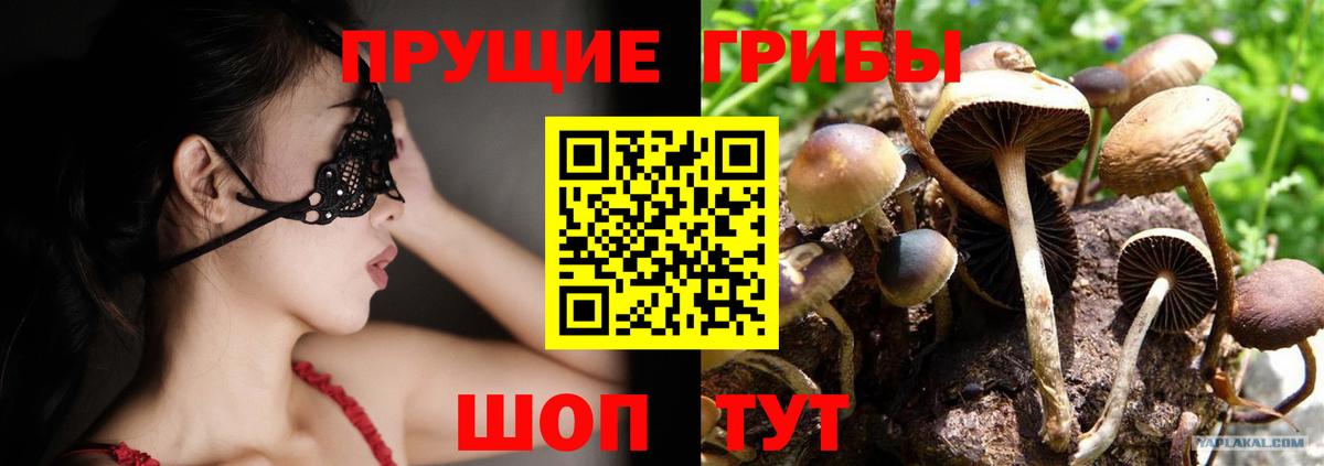 Псилоцибиновые грибы мухоморы  Вход с VPN  Галлюциногенные грибы Magic Shrooms  Елизово 